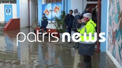 Σαρωτικό το πέρασμα της κακοκαιρίας από τον Πύργο - Νεκρά εκατοντάδες ζώα στο Γούμερο