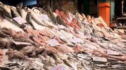 Θεσσαλονίκη: «Αλμυρό» το σαρακοστιανό τραπέζι- Ανατιμήσεις έως 15% σε ψάρια και θαλασσινά