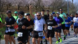 agonas dromou tempi intime