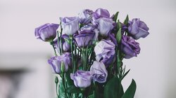 εορτολογιο