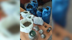 Κάνναβη, Ναρκωτικά, Σύλληψη