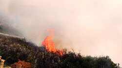Καίνε κλαδιά και ξερόχορτα… και τα αφήνουν στην τύχη τους!