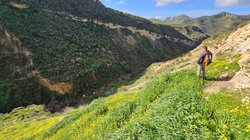 Ληθαίος ποταμός, Δρόμοι Ζωής