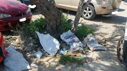 Νεκρό ζώο, Νηπιαγωγείο Αλικαρνασσού