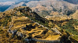 Πολυρρήνια