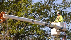 κοπή-κλαδεμα