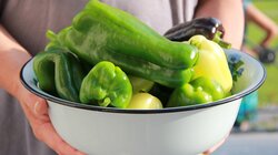 Λαχανικά, Χορτοφαγία