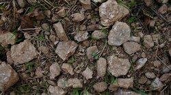 Χωράφι, Πέτρες