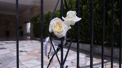 «Δεν… Απέτυχα!»