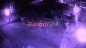 Συμμορίες ανηλίκων βανδαλίζουν περιουσίες 