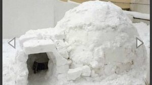 Στην Άνδρο το πρώτο ιγκλού της Ελλάδας! 