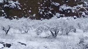 Χιόνι και στη Σητεία! - Δύο ημέρες κλειστά τα σχολεία 