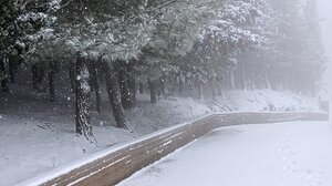 "Ελπίδα" στην Κρήτη - Πυκνή η χιονόπτωση, προβλήματα στους δρόμους - Δείτε Βίντεο