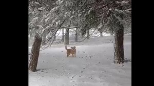 "Ελπίδα": Αυτοί που... διασκεδάζουν λίγο παραπάνω - Δείτε βίντεο