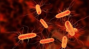 Πόσοι άνθρωποι πεθαίνουν εξαιτίας λοιμώξεων από ανθεκτικά μικρόβια