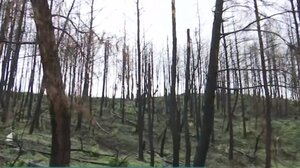 Β. Εύβοια: 1.377.516,79 ευρώ ενίσχυση σε επιχειρήσεις που επλήγησαν από κορωνοϊό και πυρκαγιές