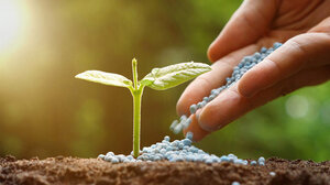 Εξετάσεις για το πιστοποιητικό ορθολογικής χρήσης γεωργικών φαρμάκων