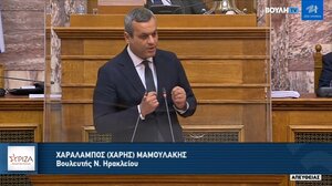 Μαμουλάκης: Με ημίμετρα δεν αντιμετωπίζεται η ακρίβεια