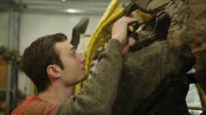 Φοιτητής ισχυρίζεται ότι ανακάλυψε ένα νέο είδος δεινοσαύρου