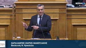 Μαμουλάκης: Εκτός Αναπτυξιακού οι ατομικές επιχειρήσεις και χιλιάδες ξενοδοχεία