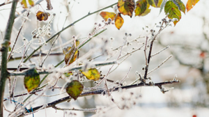 Κακοκαιρία «Ελπίς»: Πού έφτασε τους -10 βαθμούς Κελσίου η θερμοκρασία το πρωί της Κυριακής