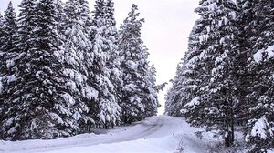 Συγκέντρωση ορειβατών, χιονοδρόμων και πεζοπόρων στο Σύνταγμα