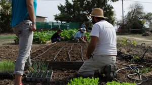Στην Κρήτη  λειτουργεί «Το Μικρό σχολείο της Γης»