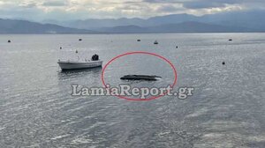 Αυτοκίνητο έπεσε στη θάλασσα – Καρέ καρέ η διάσωση του οδηγού