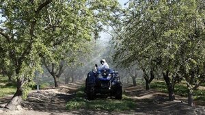 Στις 2.599 οι οριστικοποιημένες αιτήσεις για το πρόγραμμα Νέων Αγροτών στην Κρήτη