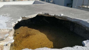 Φρικιαστικές αποκαλύψεις για τα τέρατα της Κυψέλης