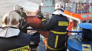 Έλληνας οδηγός ο άνδρας που βρέθηκε νεκρός στο Euroferry Olympia