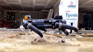 Σκύλοι – ρομπότ περιπολούν στα σύνορα των ΗΠΑ