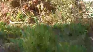 Μαρτυρία-σοκ από υπάλληλο του νεκροταφείου για το νεκρό βρέφος