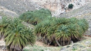 Η επόμενη εξόρμηση του Ορειβατικού Συλλόγου Αγίου Νικολάου 