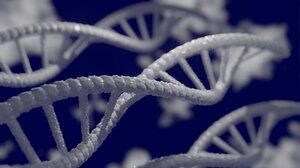 Η Μεγάλη Ύφεση του Μεσοπολέμου είναι αποτυπωμένη μέχρι σήμερα στο DNA