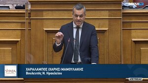 Μαμουλάκης: Αδιανόητη η πιλοτική εφαρμογή Προσωπικού Βοηθού για ΑμεΑ μόνο στην Αττική