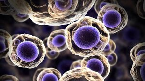 Ο ΠΟΥ ανησυχεί για την αύξηση των κρουσμάτων φυματίωσης στα παιδιά στην Ευρώπη και την κεντρική Ασία 