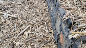 Γέμισε καλάμια και σκουπίδια ο Καράβολας