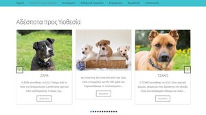 Τα αδέσποτα ζώα βγαίνουν ... online!