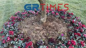 Θεσσαλονίκη: Έκλεψαν τις ταμπέλες με τα ονόματα των θυμάτων οπαδικής βίας