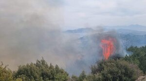 Σε εξέλιξη η φωτιά στη Σάμο: Ενισχύονται οι πυροσβεστικές δυνάμεις - Προσήχθη ηλικιωμένος 