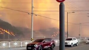 Νότια Κορέα: Δασική πυρκαγιά πλησιάζει πυρηνικό σταθμό 