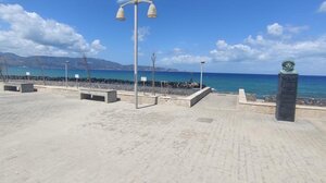 Αλμυρίκι στη θέση του φοινικοειδούς