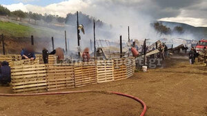 Πυρκαγιά σε στάβλο - Κάηκαν δεκάδες ζώα