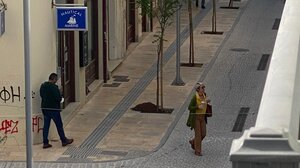 Κάποια δέντρα "έπιασαν", κάποια έμειναν ξερά!