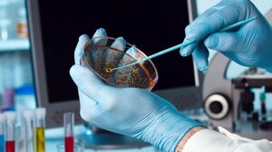 Κορωνοϊός- Λύματα στην Κρήτη: Σε ποια περιοχή σημειώθηκε μικρή αύξηση