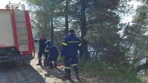 Φωτιά στην Χαλκιδική: 250 άτομα συμμετείχαν στην κατάσβεση