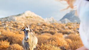 Αυξημένη συγκέντρωση αφρικανικής σκόνης την Τετάρτη στην Κρήτη