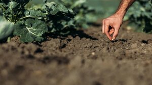 Οι αγρότες της Ιεράπετρας υποφέρουν και περιμένουν να εφαρμοστεί το μεταφορικό ισοδύναμο