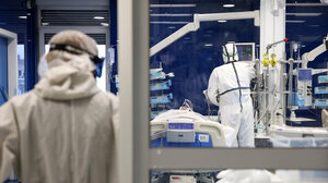 Candida auris: Δεν υπάρχει ενεργή συρροή στην Ελλάδα